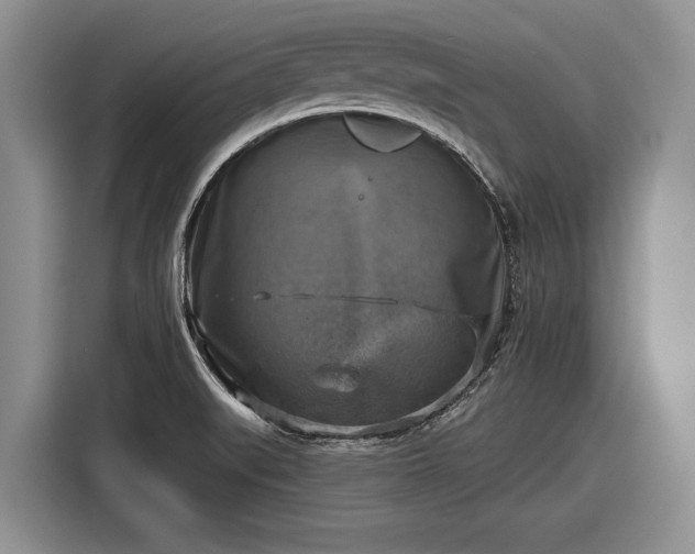 X0000116631519200912181315