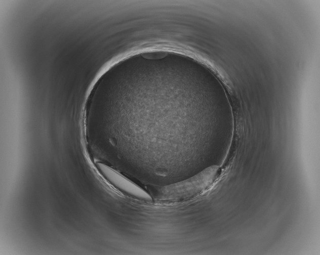 X0000116631522200912181315