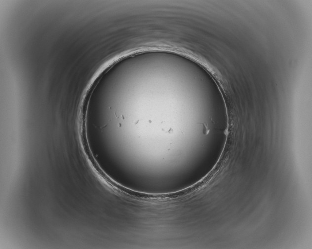 X0000116631523200912181315