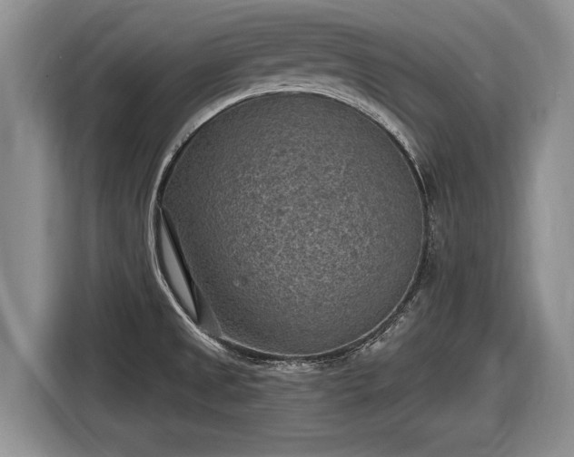 X0000116631525200912181315