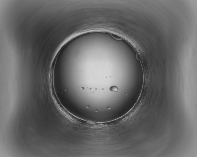 X0000116631526200912181315