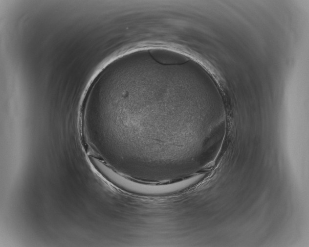 X0000116631527200912181315