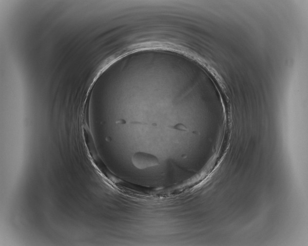 X0000116631529200912181315