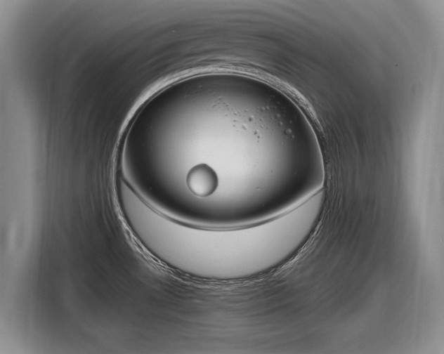 X0000116631530200912181315