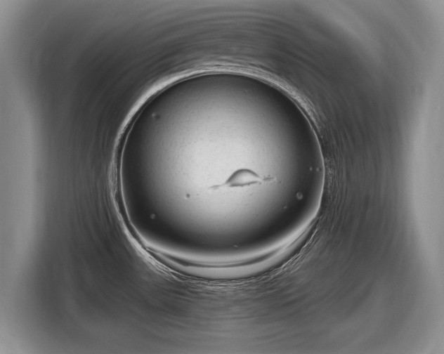 X0000116631531200912181315