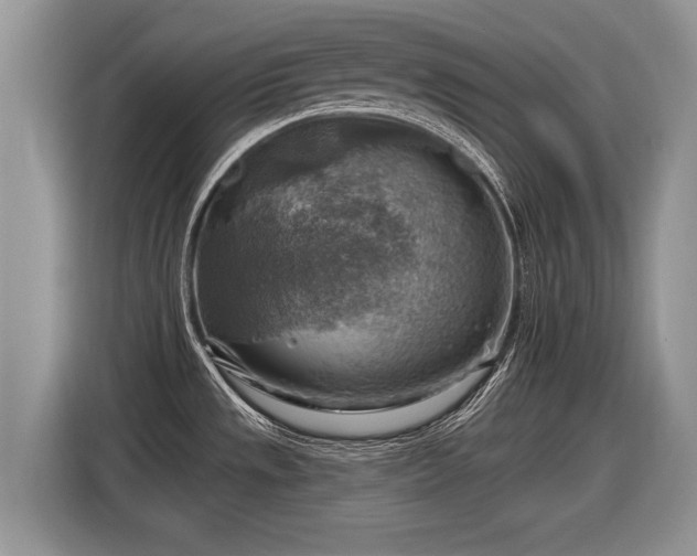 X0000116631533200912181315