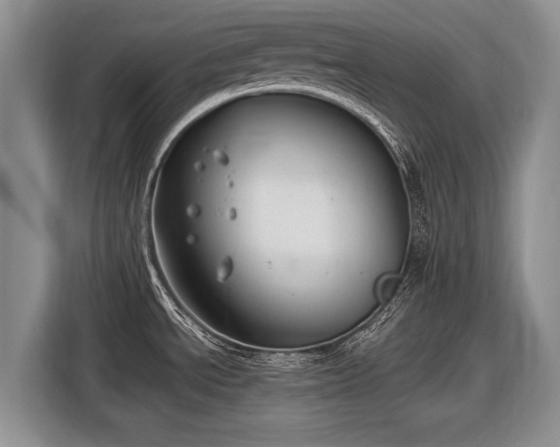 X0000116631534200912181315