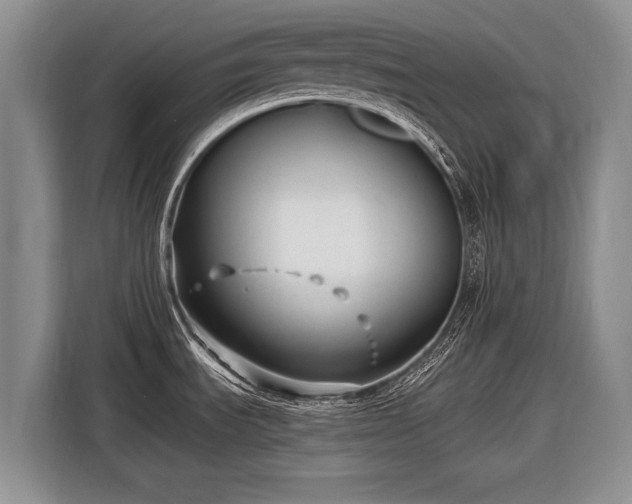 X0000116631535200912181315