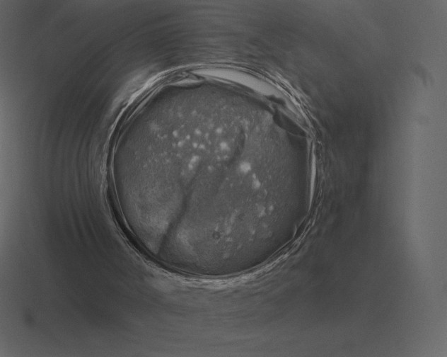 X0000116630002200912241821