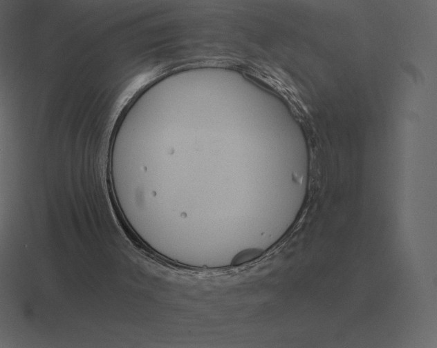 X0000116630003200912241821