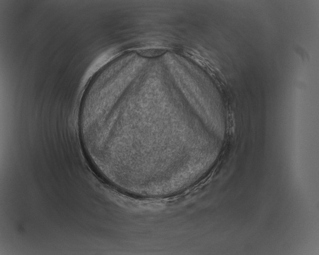 X0000116630004200912241821