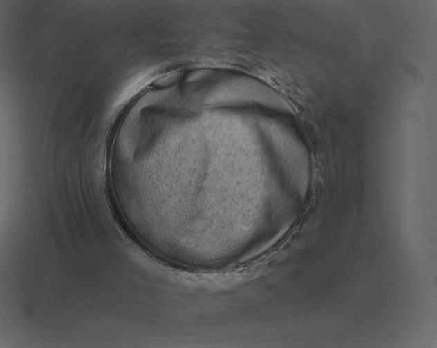 X0000116630005200912241821