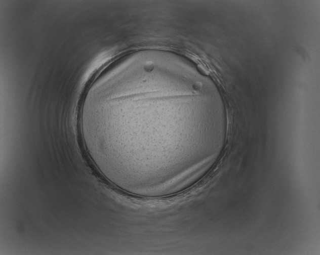 X0000116630006200912241821