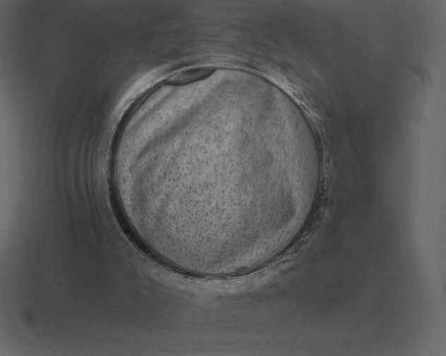 X0000116630007200912241821