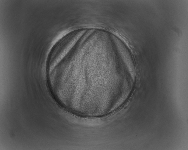 X0000116630008200912241821