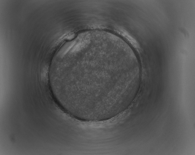 X0000116630009200912241821