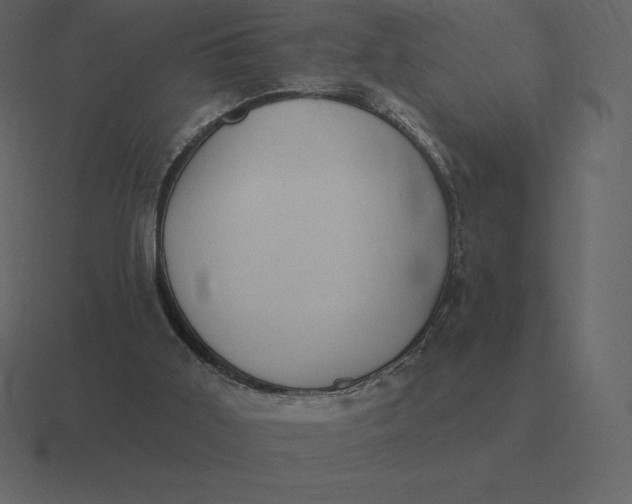 X0000116630011200912241821