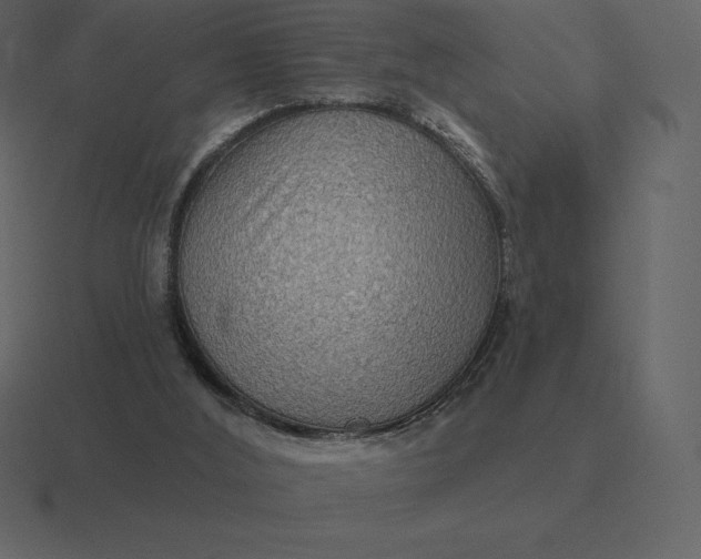 X0000116630012200912241821