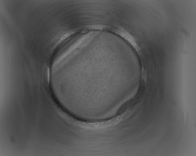 X0000116630013200912241821