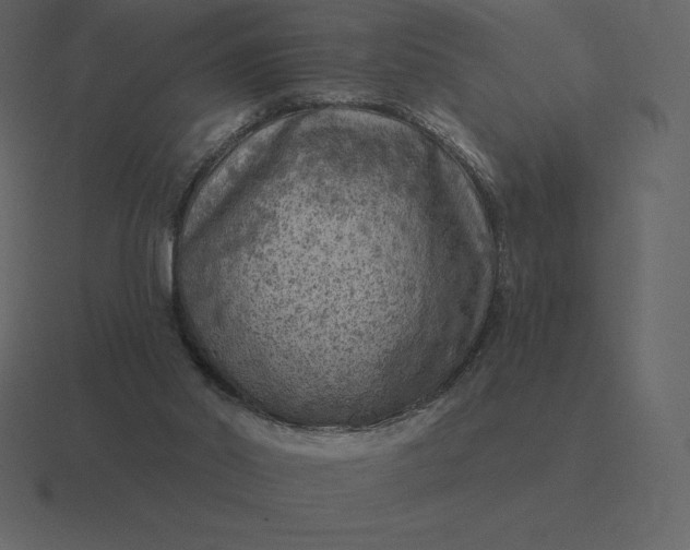 X0000116630014200912241821