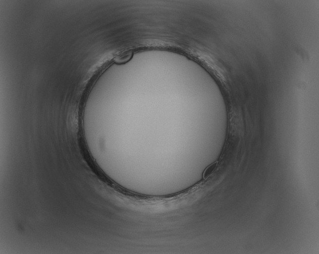 X0000116630015200912241821