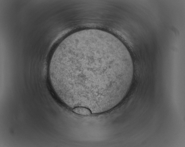 X0000116630016200912241821