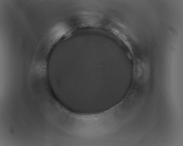 X0000116630017200912241821