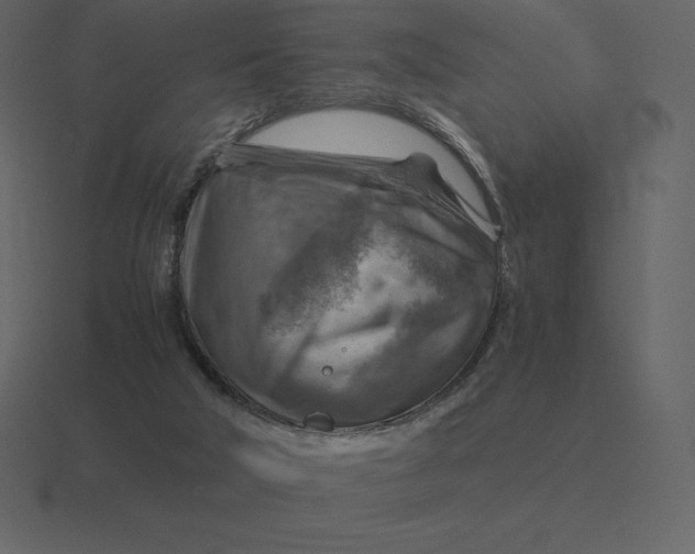 X0000116630018200912241821