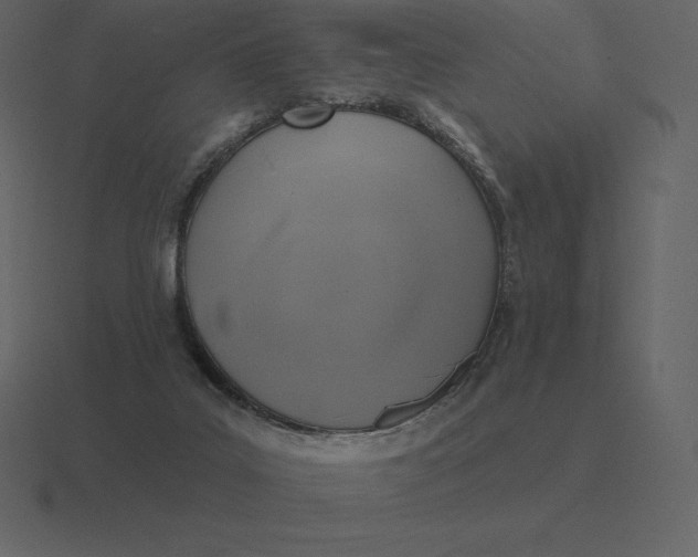 X0000116630019200912241821