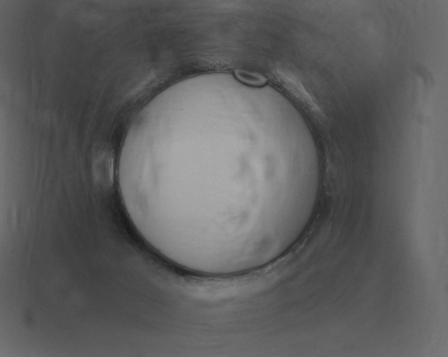 X0000116630021200912241821