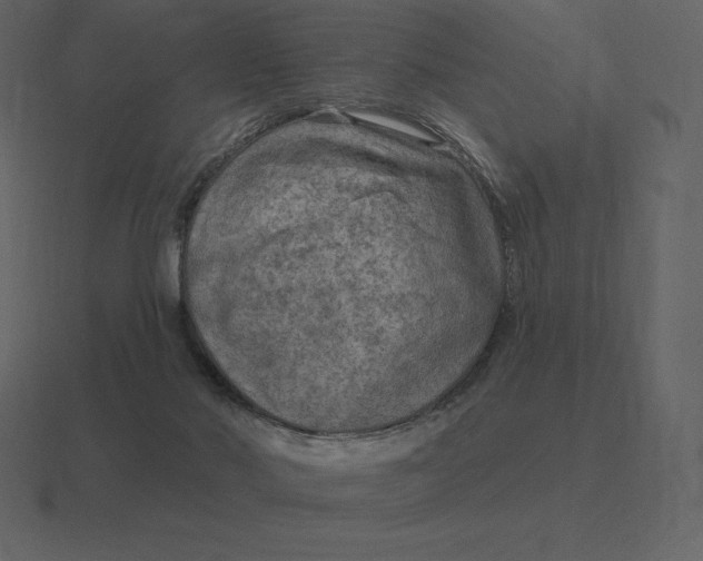 X0000116630022200912241821