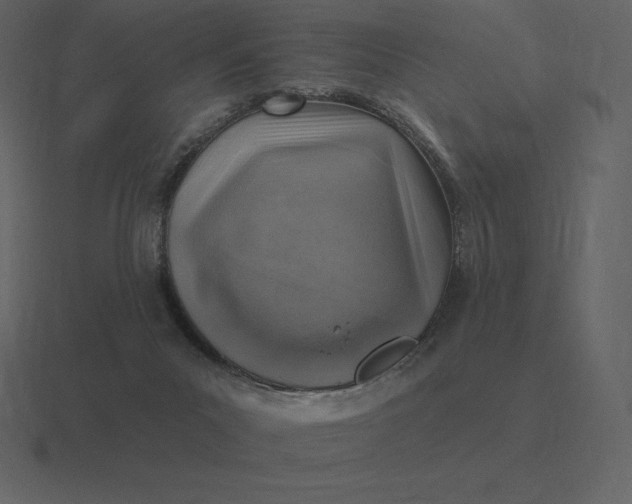 X0000116630023200912241821