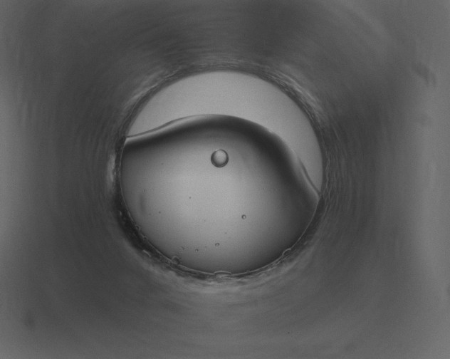 X0000116630024200912241821