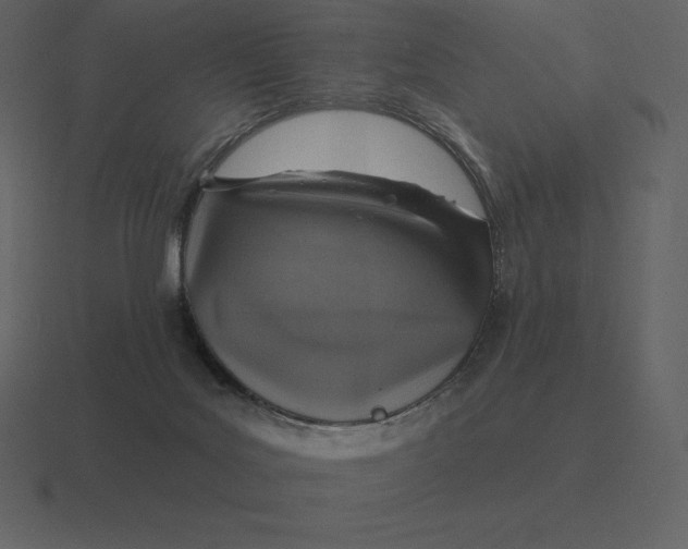 X0000116630027200912241821