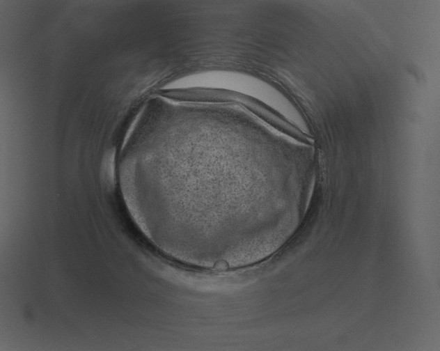 X0000116630028200912241821