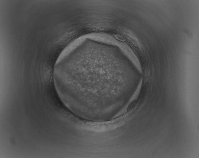 X0000116630029200912241821