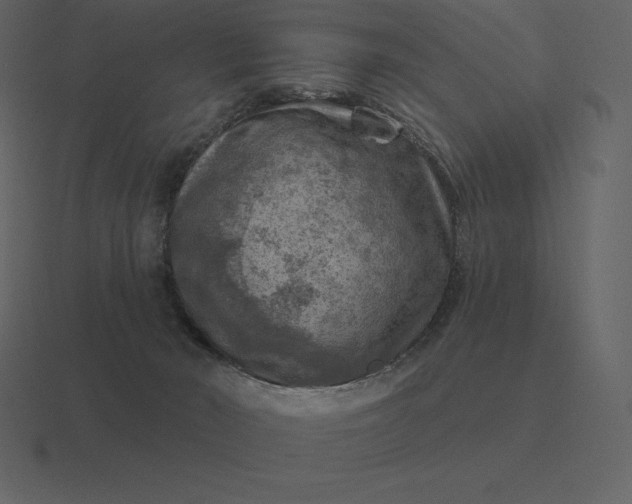 X0000116630030200912241821