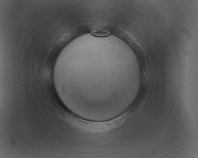 X0000116630031200912241821