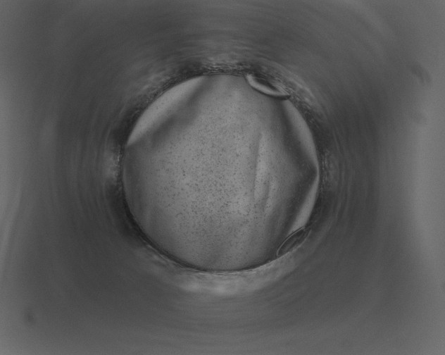 X0000116630033200912241821