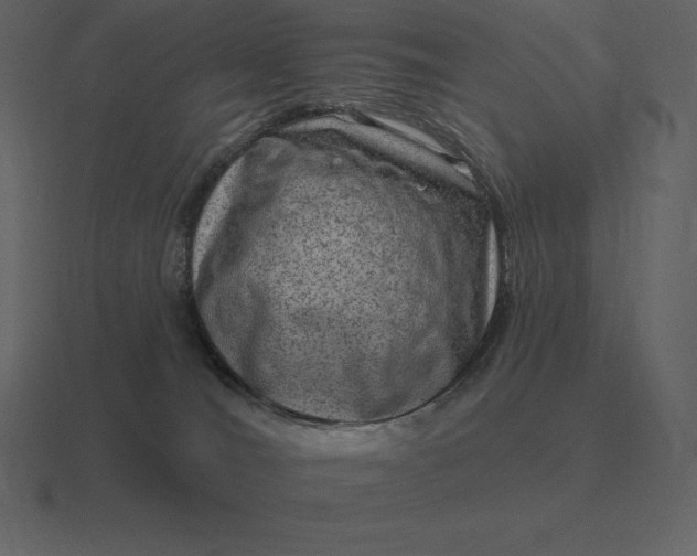 X0000116630036200912241821