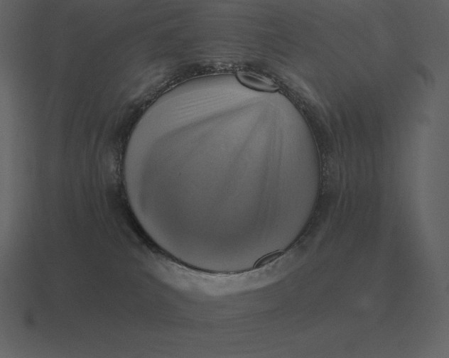 X0000116630039200912241821