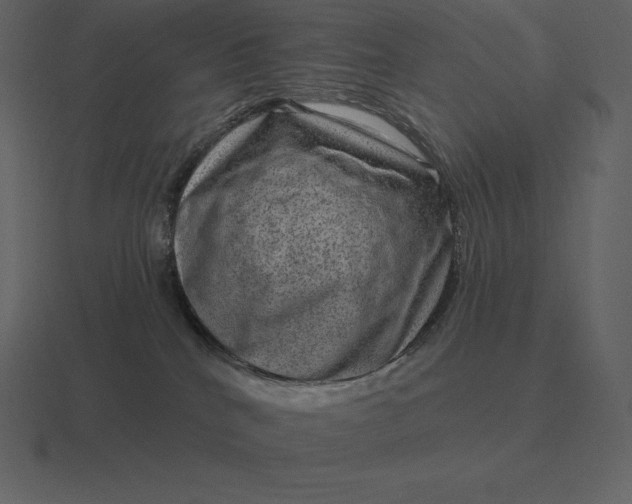 X0000116630040200912241821