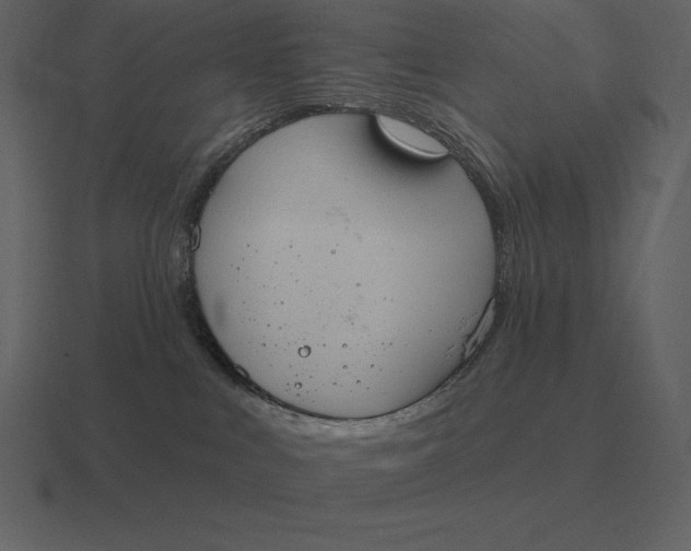 X0000116630043200912241821