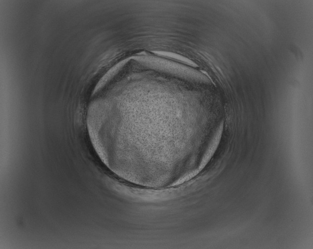 X0000116630044200912241821