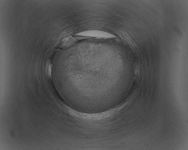 X0000116630046200912241821