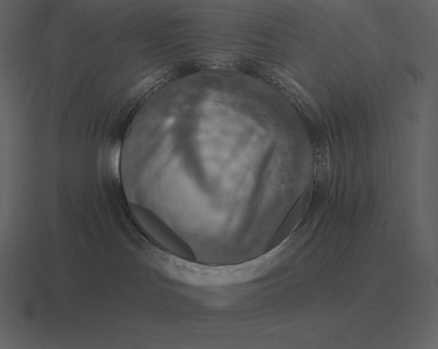 X0000116630047200912241821