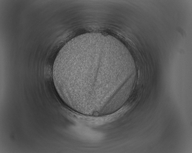 X0000116630048200912241821