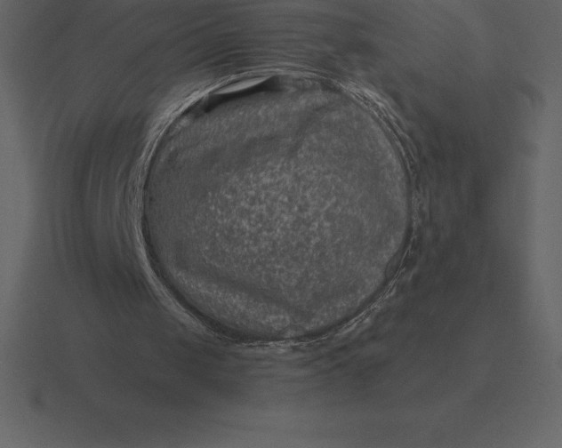 X0000116630049200912241820