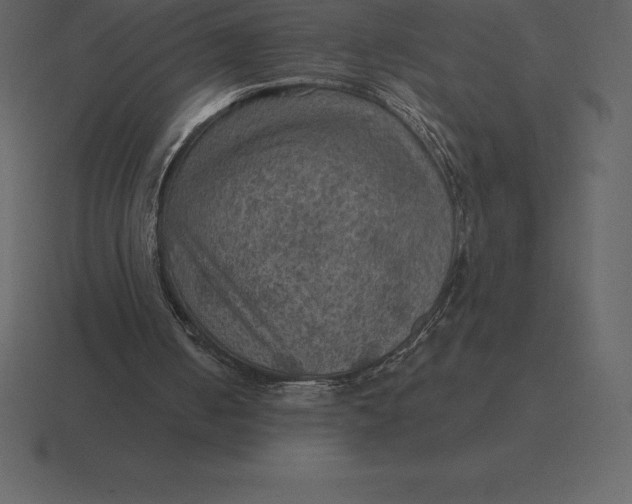 X0000116630050200912241820