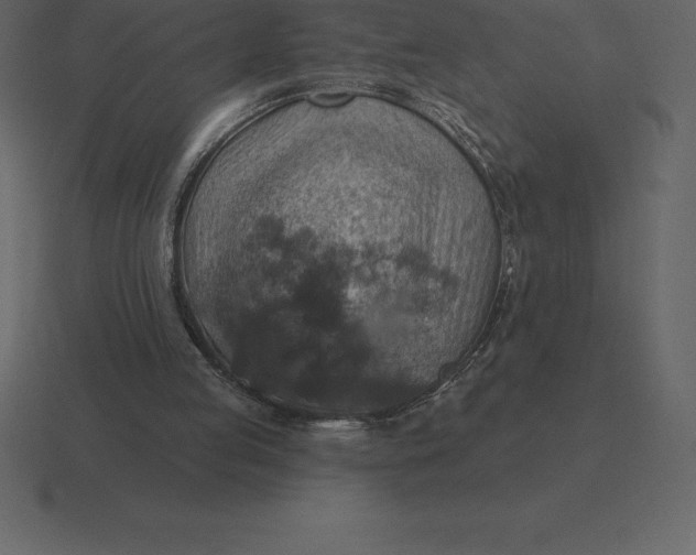 X0000116630053200912241820